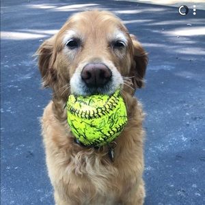 Meet your Posher, Luann